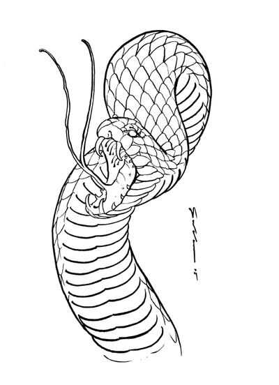 Book Drawn to Scale Matthew Gordon