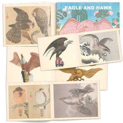 Book Eagle and Hawk Illustrated Monthly
