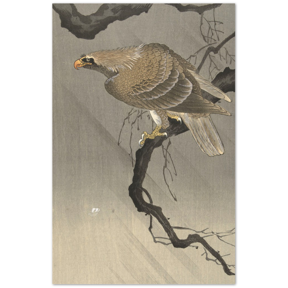 Print Material Eagle on branch Gelato