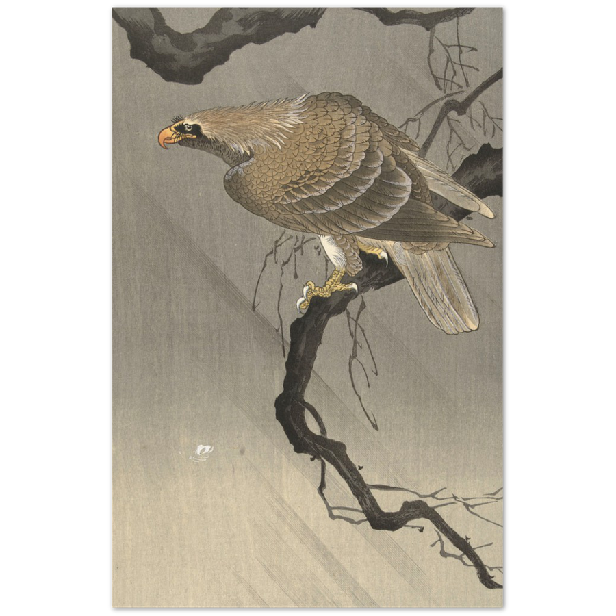 Print Material Eagle on branch Gelato