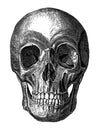eBook Engraved Skulls Pale Horse