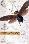 entomology