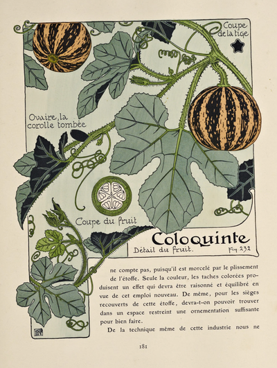 eBook Etude de la plante Illustrated Monthly