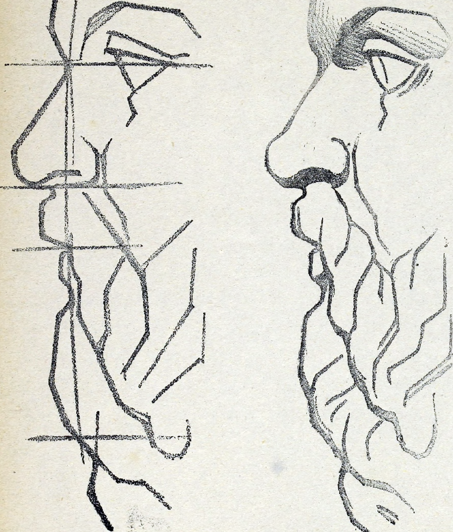 Facial Form