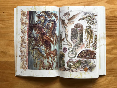 Book Fantastical Beasts & Plants Illustrated Monthly
