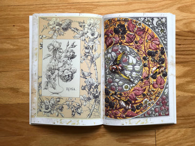 Book Fantastical Beasts & Plants Illustrated Monthly