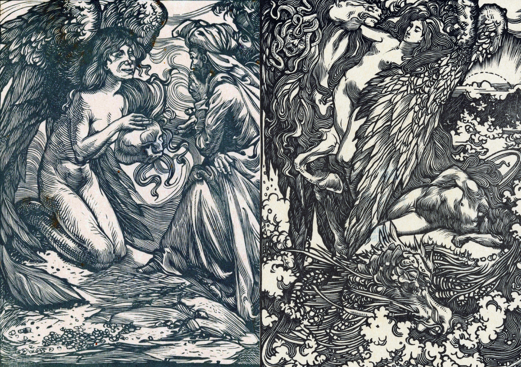 Book Femme Illustrated Monthly