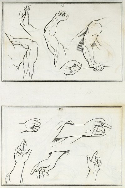 Figure Drawing