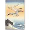 Print Material Five seagulls above turbulent sea Gelato