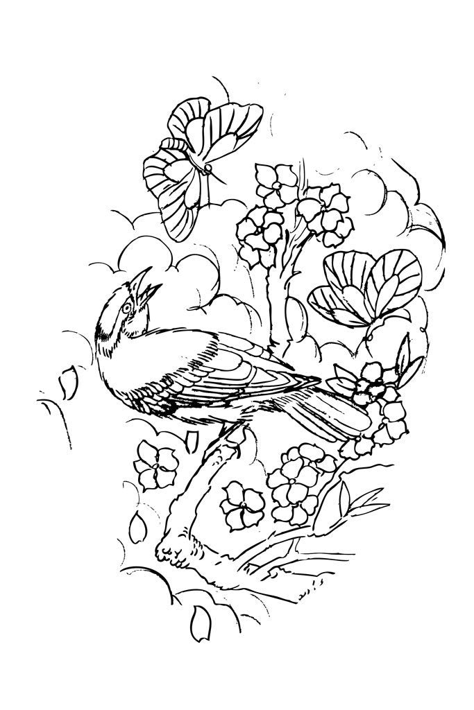 Flowers and Compositions