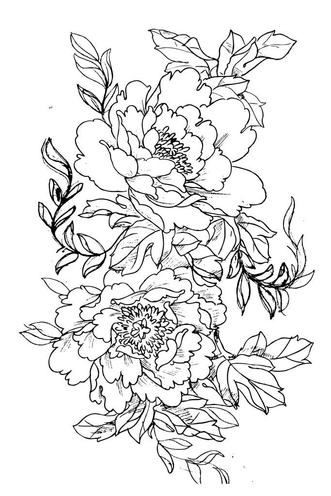 Flowers and Compositions