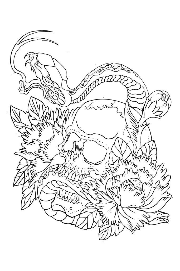 Flowers and Compositions