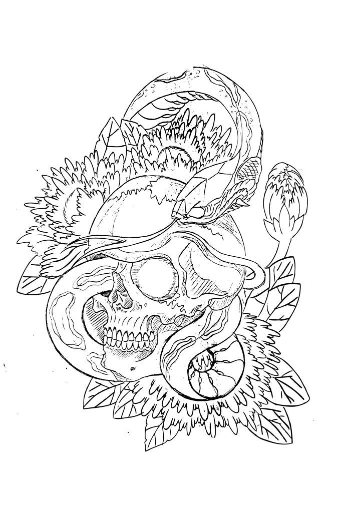 Flowers and Compositions