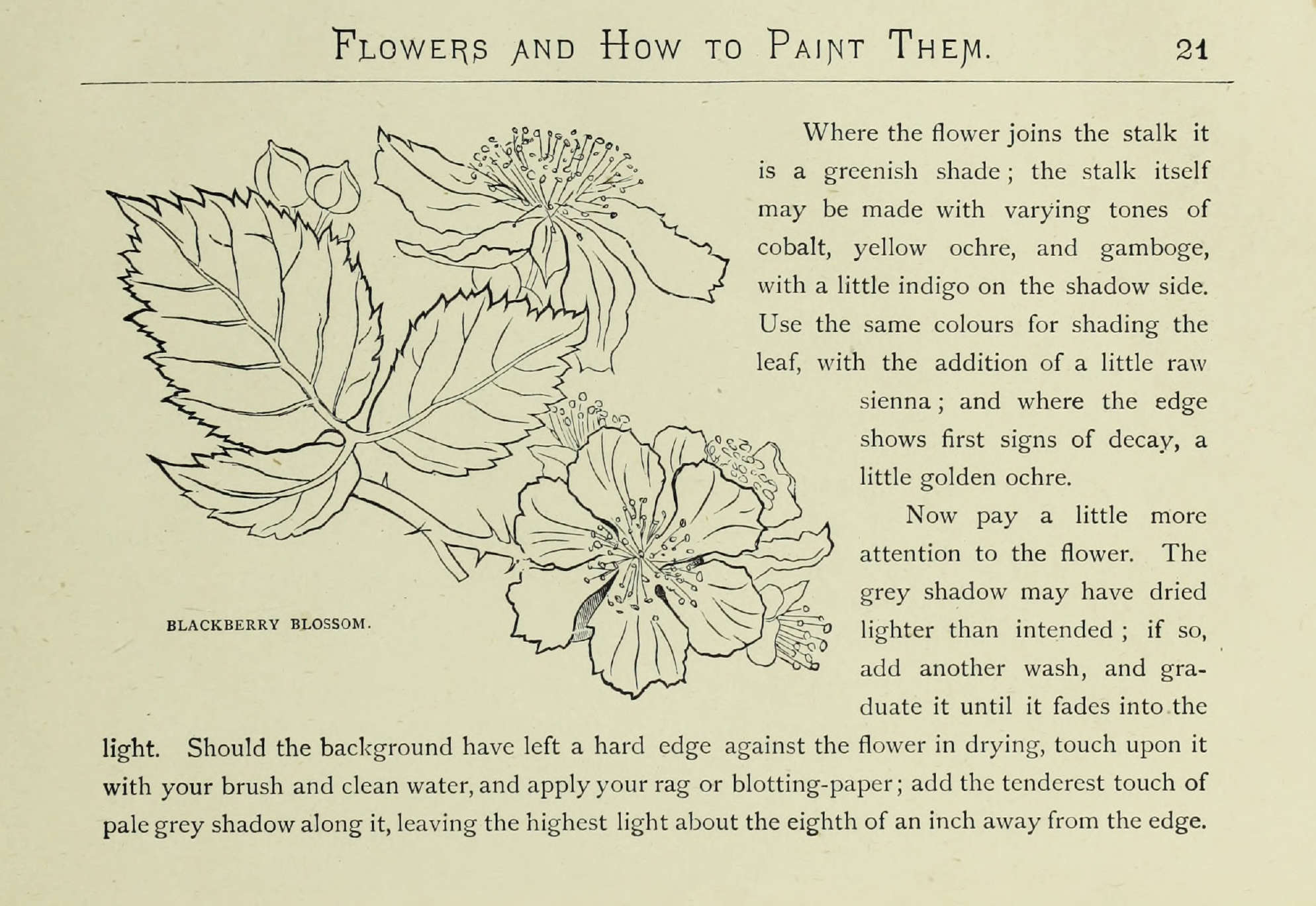 eBook Flowers, How to Paint Them Illustrated Monthly