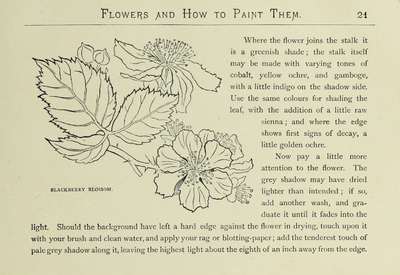 eBook Flowers, How to Paint Them Illustrated Monthly