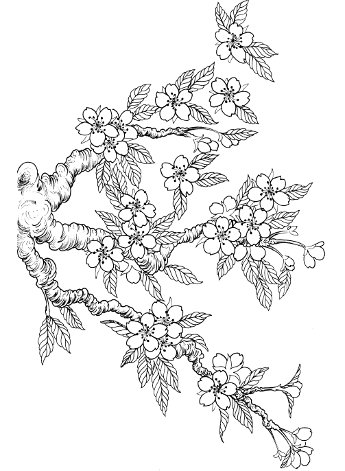 Garden Variety Flowers