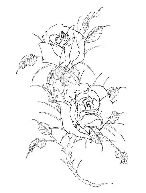 Garden Variety Flowers