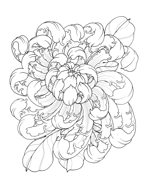 Garden Variety Flowers