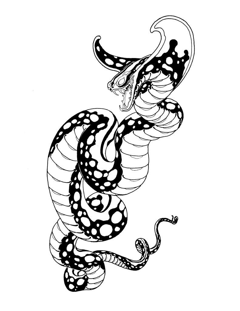 Garden Variety Snakes