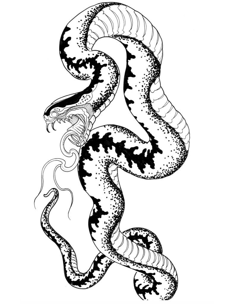 Garden Variety Snakes