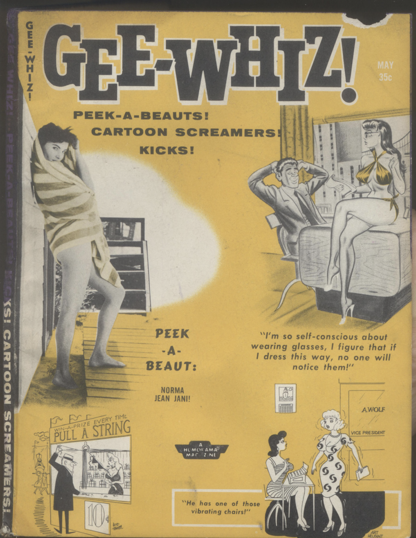 eBook Gee-Wiz - vintage erotica Illustrated Monthly