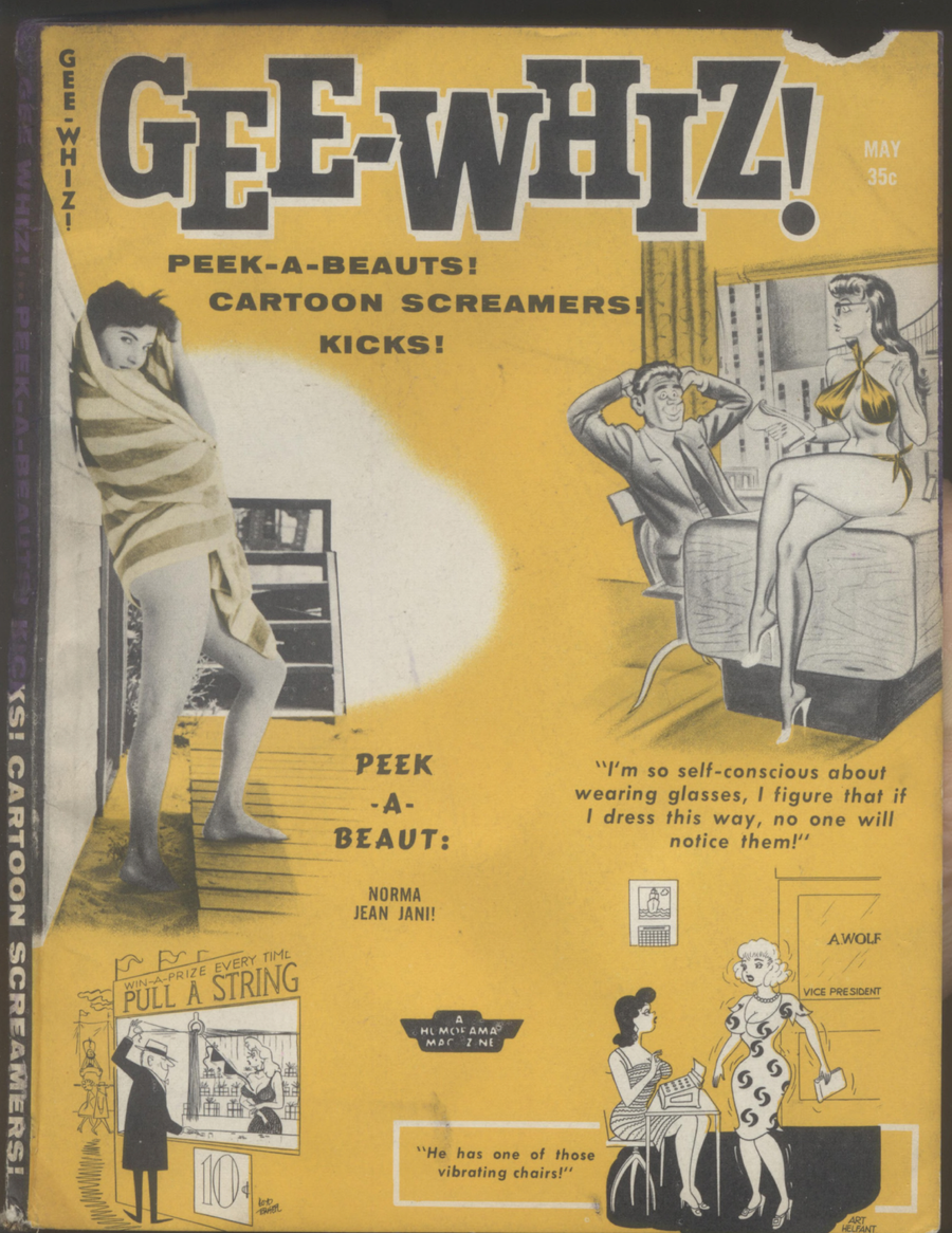 eBook Gee-Wiz - vintage erotica Illustrated Monthly