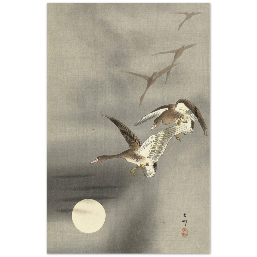 Print Material Geese in flight Gelato