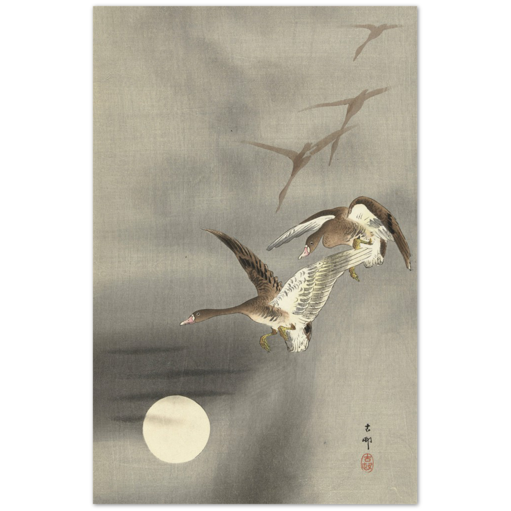 Print Material Geese in flight Gelato