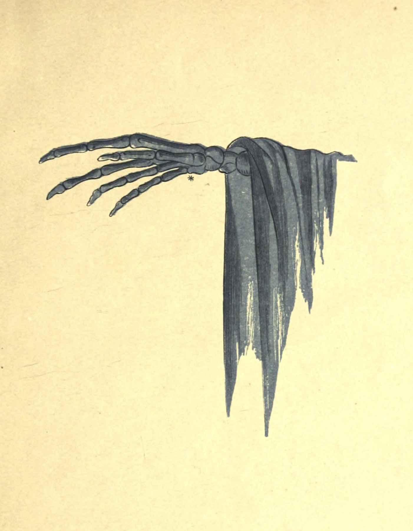 eBook Ghosts big fish