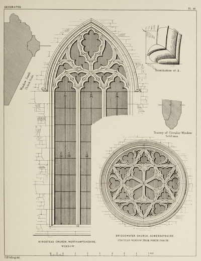 eBook Gothic Architecture big fish