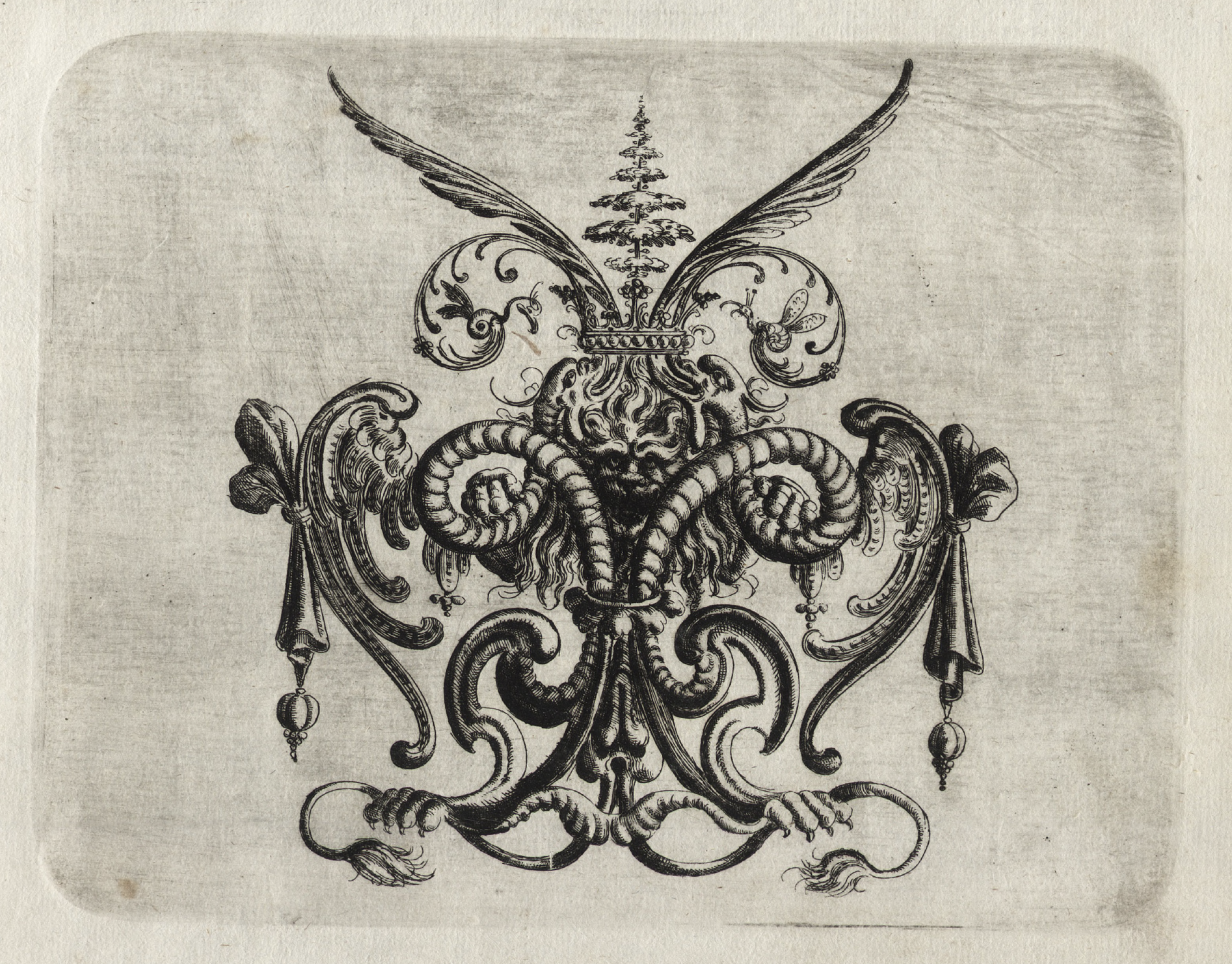 eBook grotesque style big fish