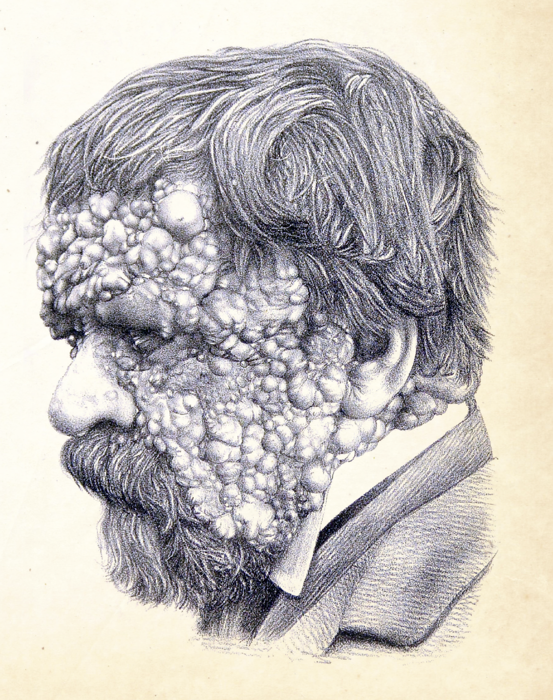 Book Grotesque Illustrated Monthly