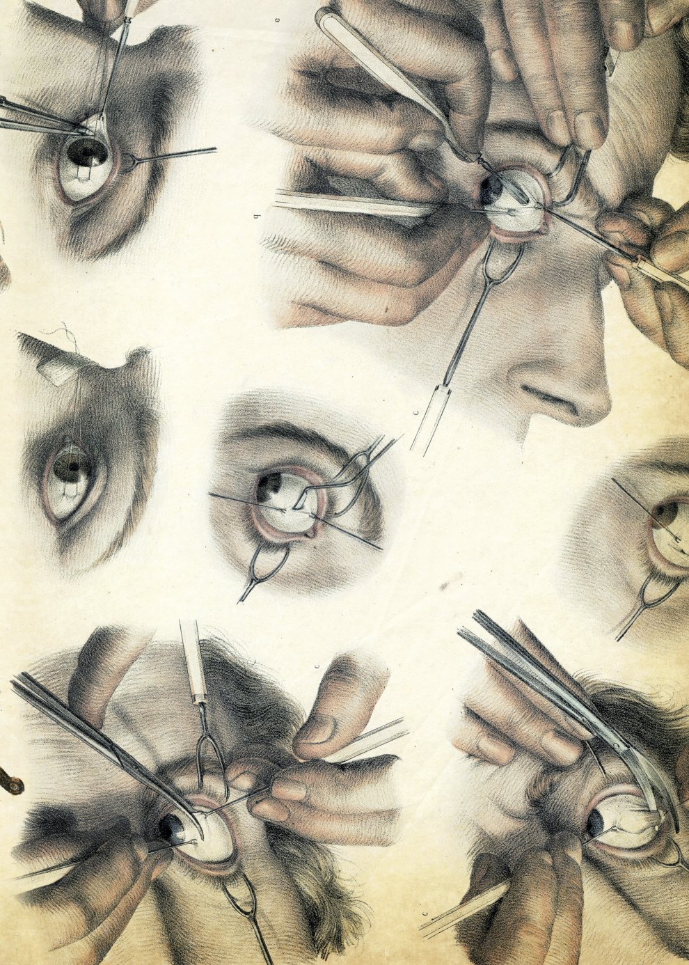 Book Grotesque Illustrated Monthly