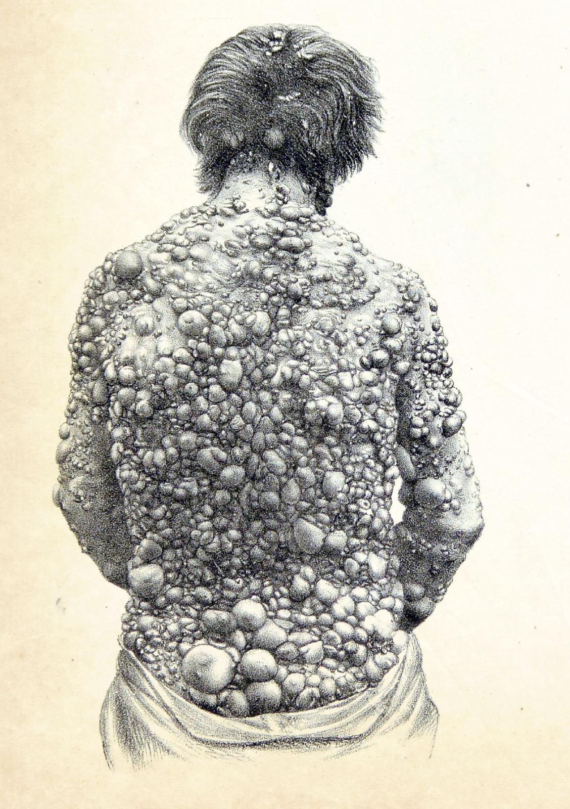 Book Grotesque Illustrated Monthly