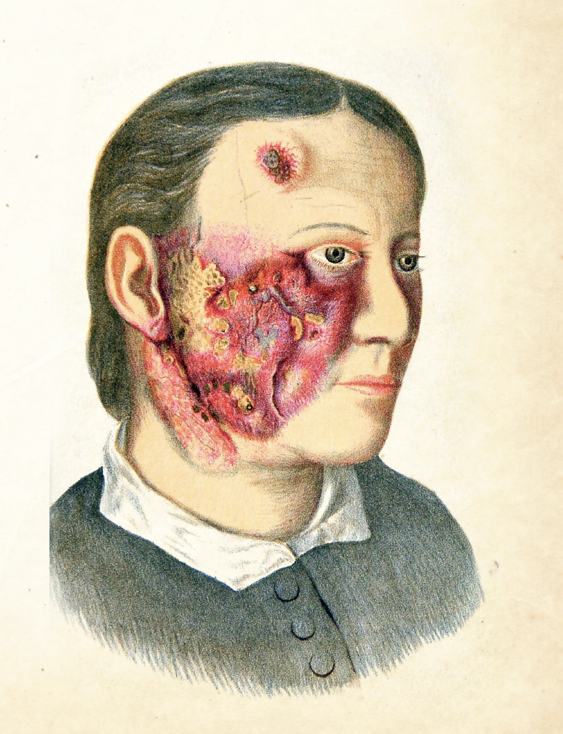 Book Grotesque Illustrated Monthly