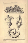 Ornamental