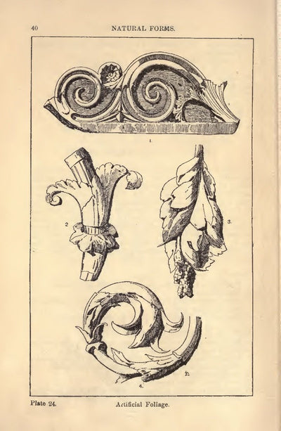 Ornamental