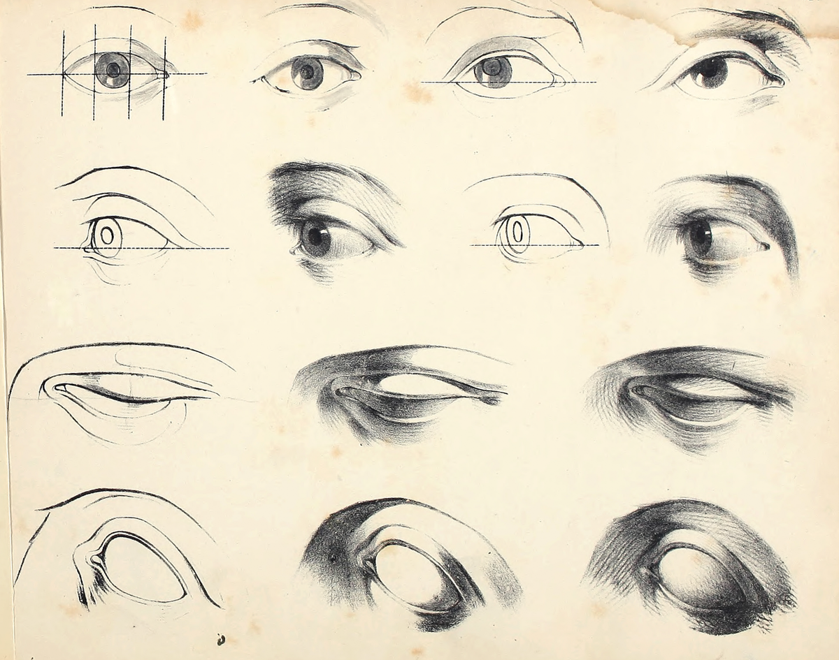 Head Studies | Shop Illustrated Books, eBooks and Prints