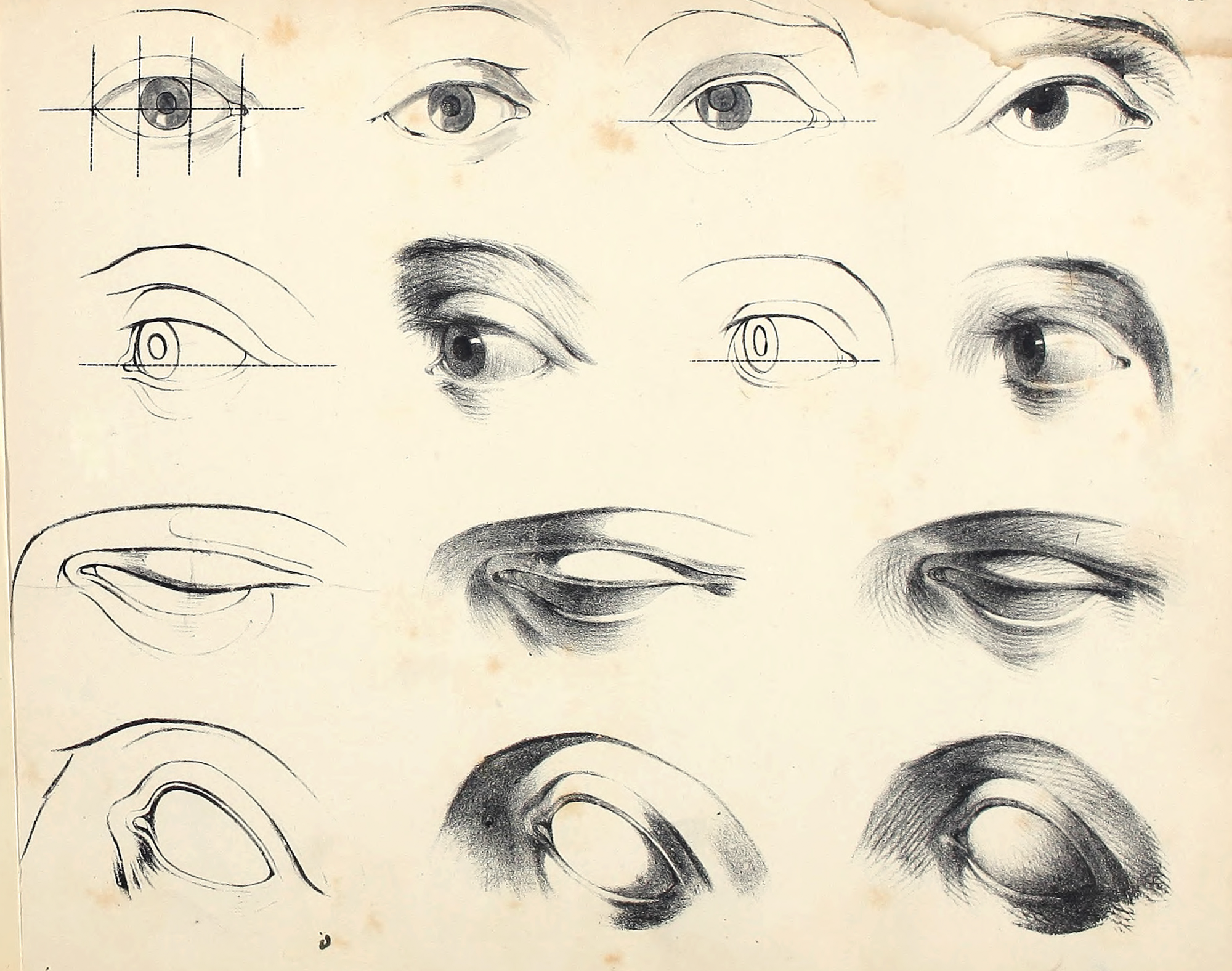 eBook Head Studies big fish