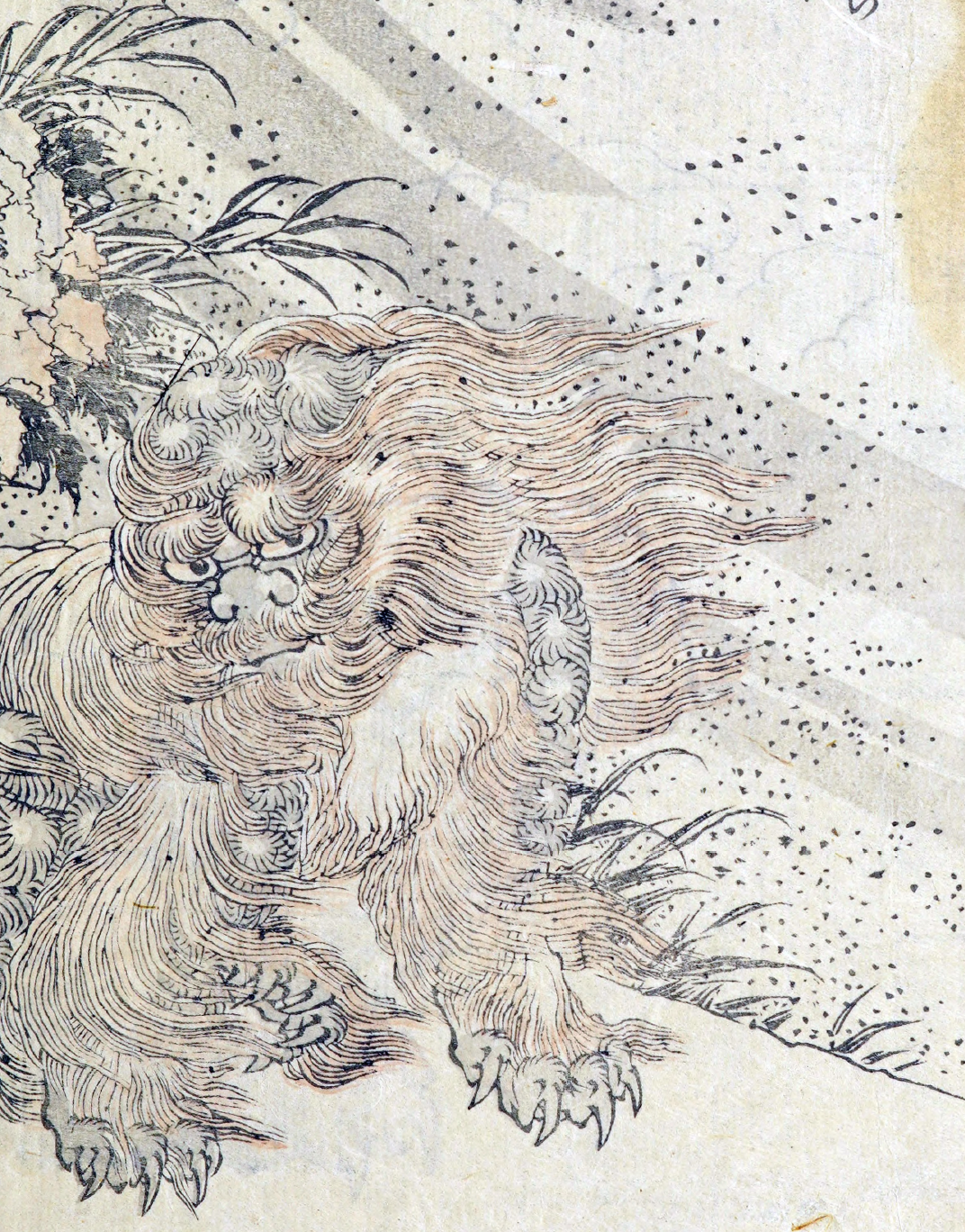 Book Hokusai big fish