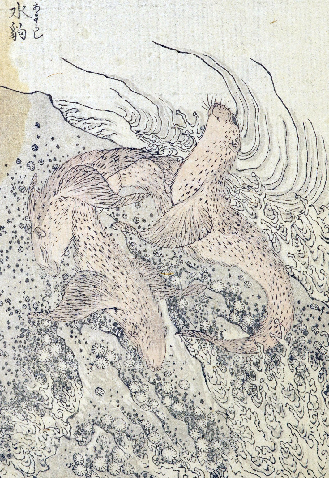 Book Hokusai big fish