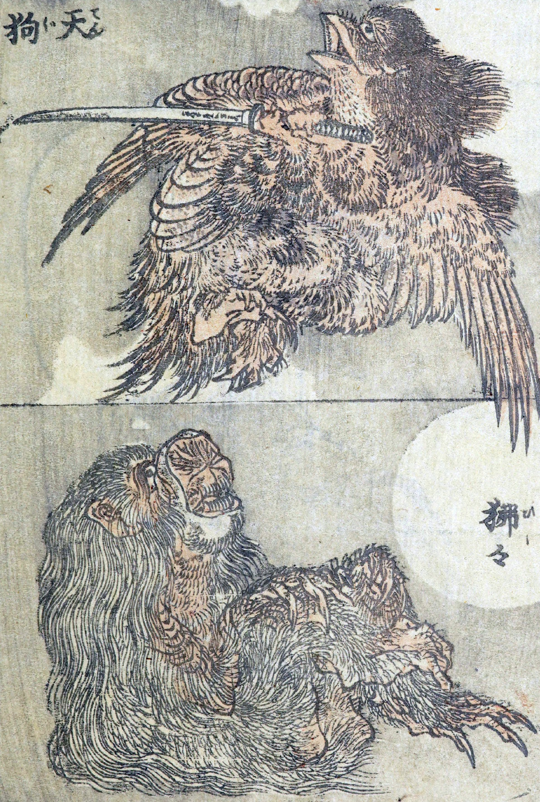 Book Hokusai big fish