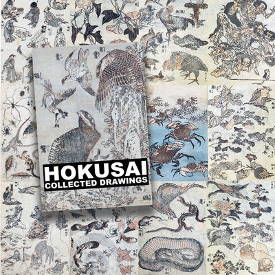 Book Hokusai big fish
