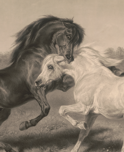 eBook Horses big fish