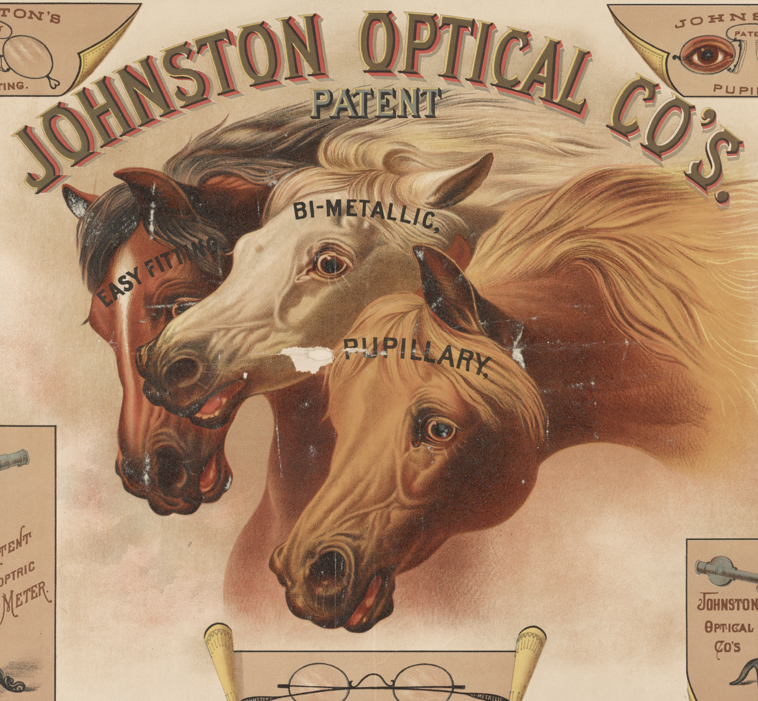 Book Horses Illustrated Monthly