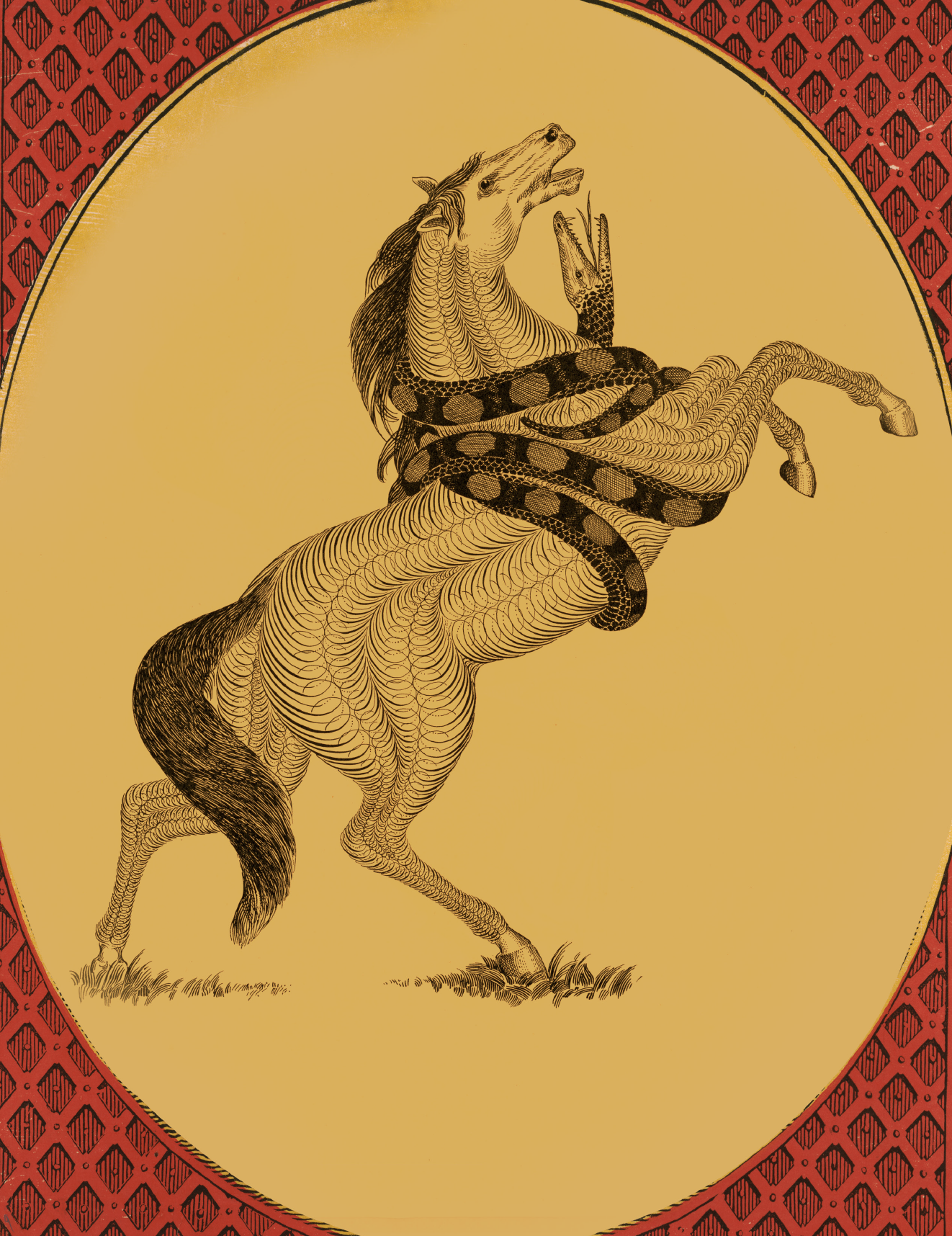 eBook Horses big fish