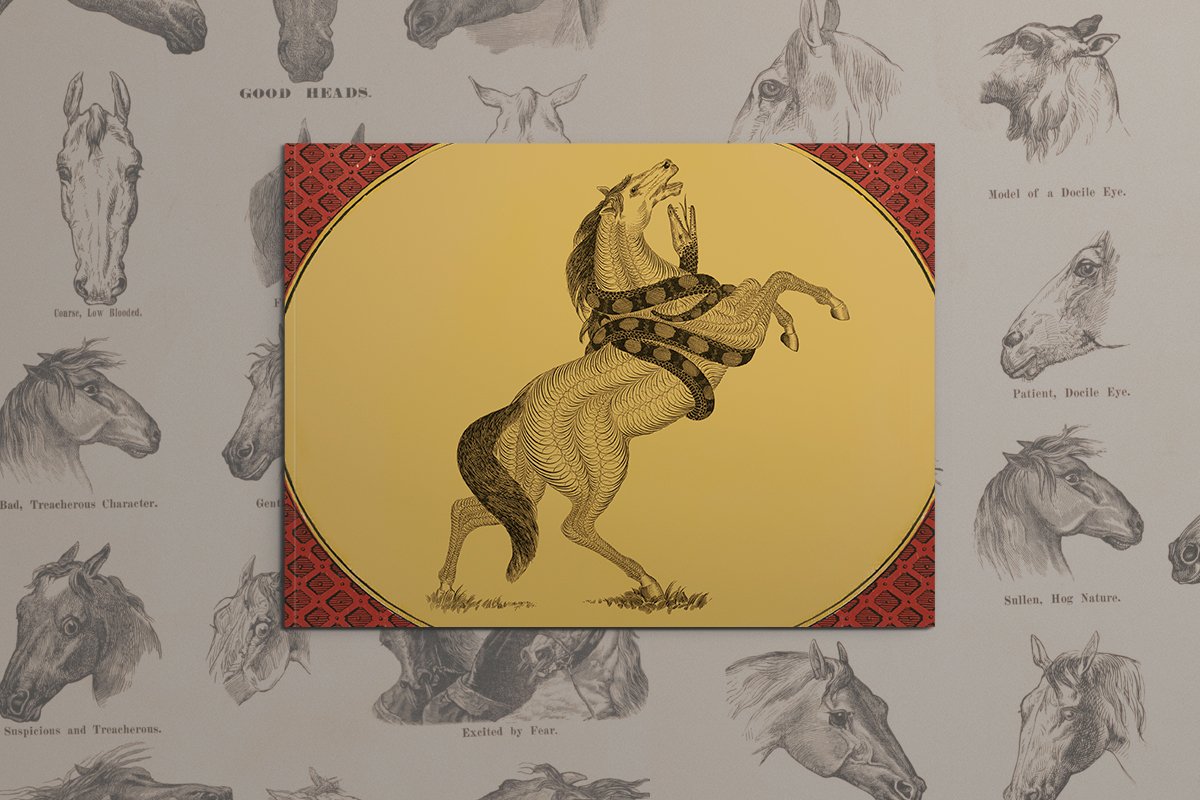 Book Horses Illustrated Monthly