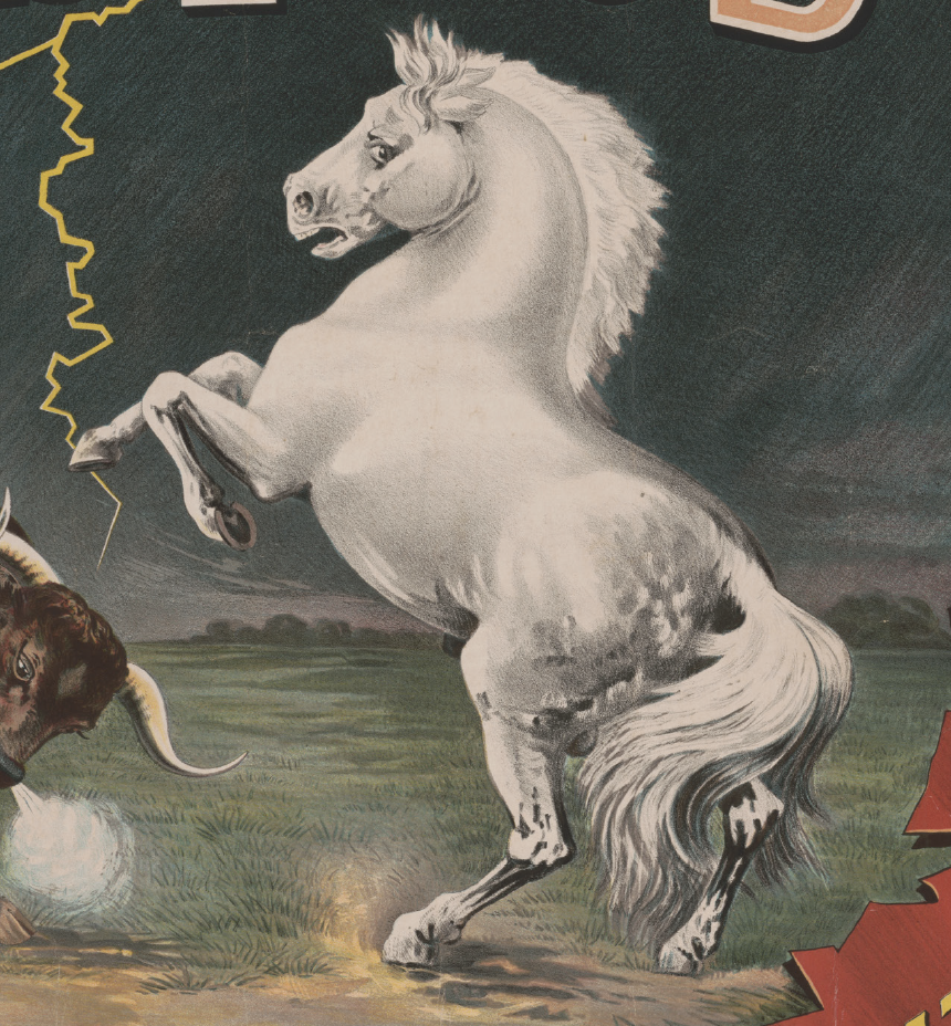 Book Horses Illustrated Monthly