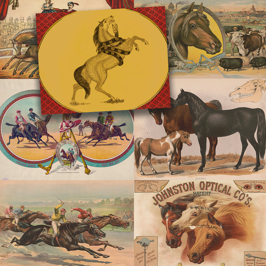 Book Horses Illustrated Monthly