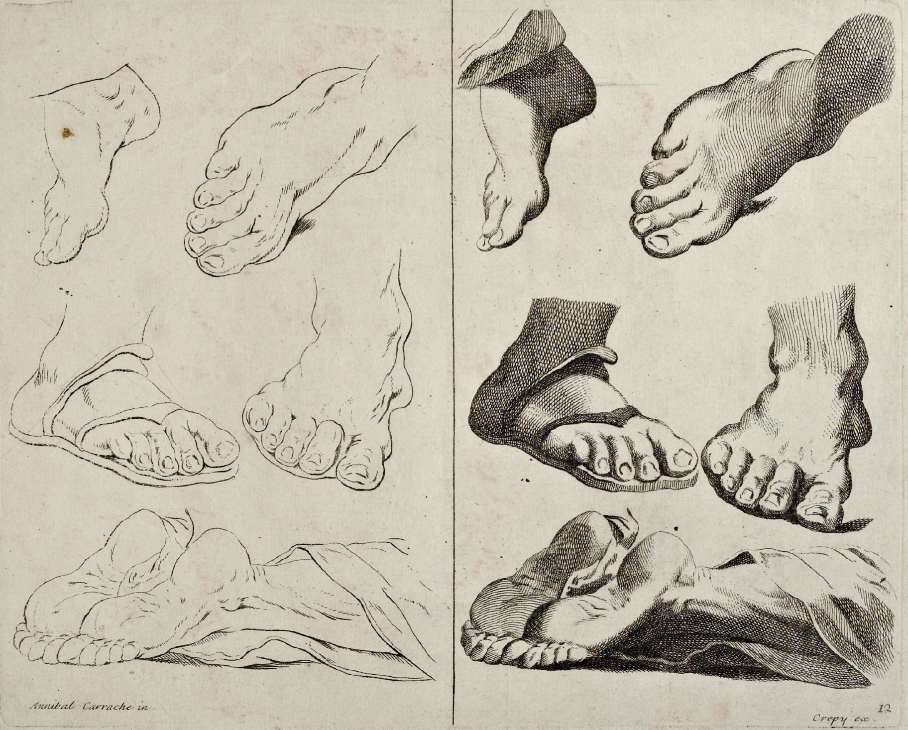 eBook Human Form big fish